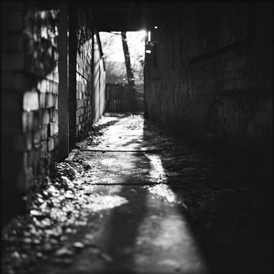 Generative image prompt style -